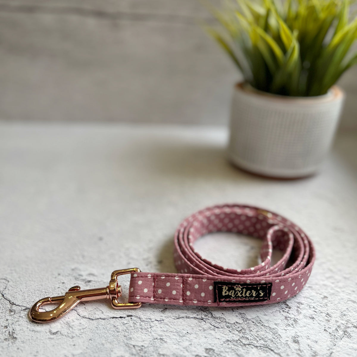 Rose gold dog outlet collar and lead