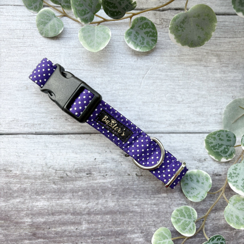 Dog Collar | Purple Polka Dot