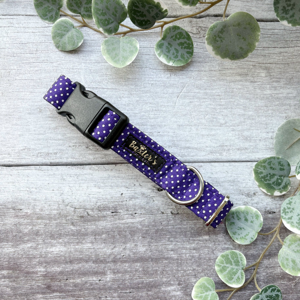 Dog Collar | Purple Polka Dot